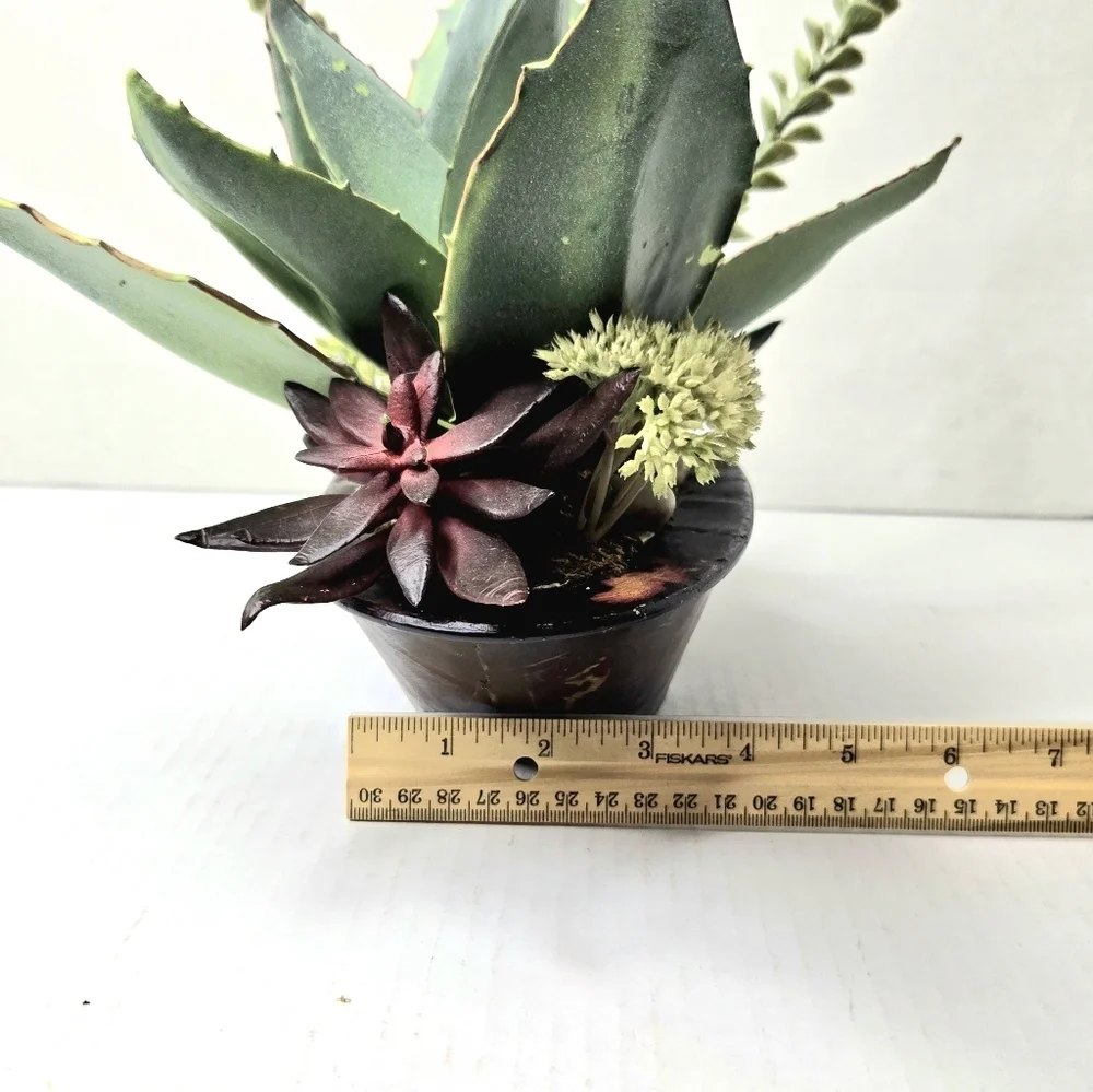 Succulent Floral Arrangement
